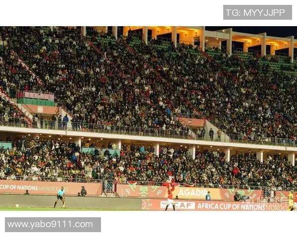 埃及与津巴布韦的足球对决分析及历史交锋回顾